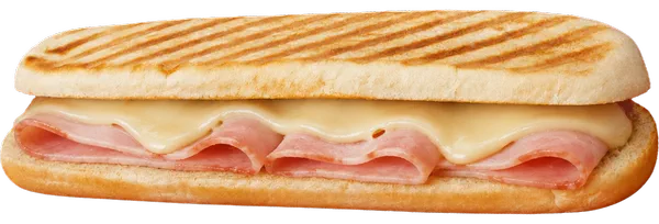 Le Panini croque